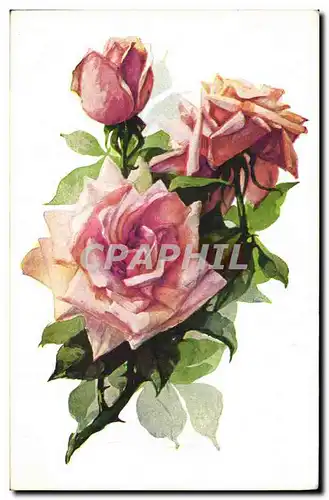 Cartes postales Fantaisie Fleurs