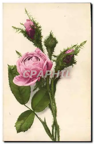 Cartes postales Fantaisie Fleurs