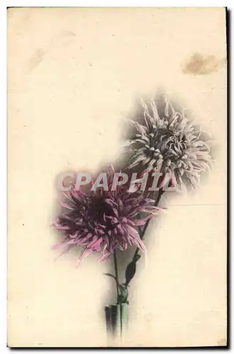 Cartes postales Fantaisie Fleurs