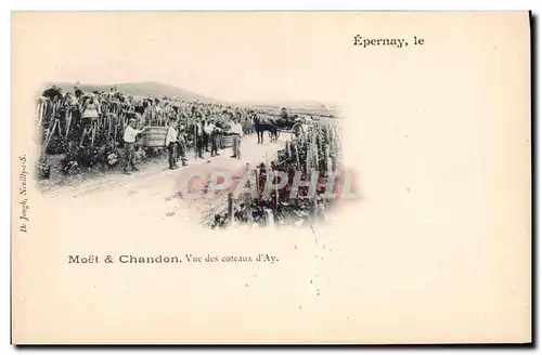 Cartes postales Folklore Vin Vendange Champagne Moet & Chandon Epernay Vue des coteaux d&#39Ay