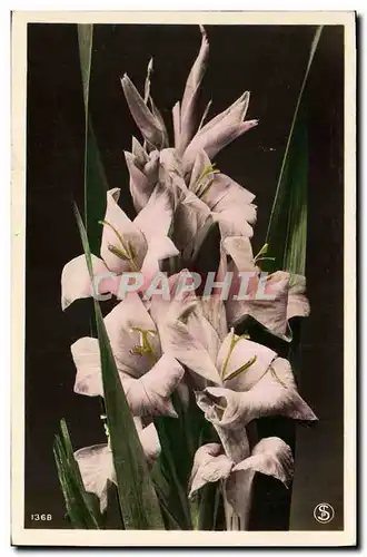 Cartes postales Fantaisie Fleurs