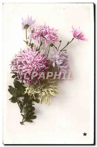 Cartes postales Fantaisie Fleurs