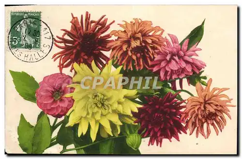 Cartes postales Fantaisie Fleurs