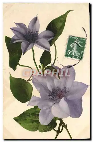 Cartes postales Fantaisie Fleurs