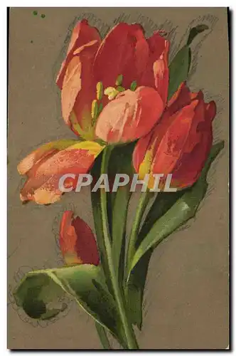 Cartes postales Fantaisie Fleurs