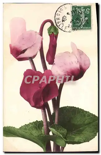 Cartes postales Fantaisie Fleurs