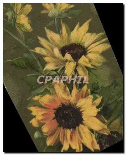 Cartes postales Fantaisie Fleurs