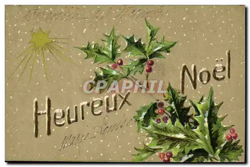 Cartes postales Fantaisie Fleurs Noel