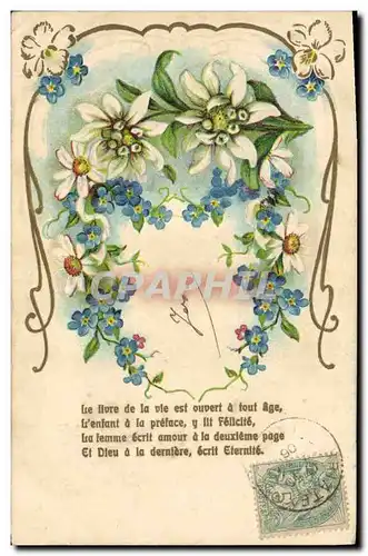 Cartes postales Fantaisie Fleurs