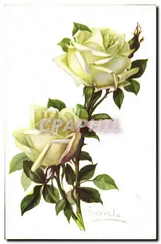 Cartes postales Fantaisie Fleurs