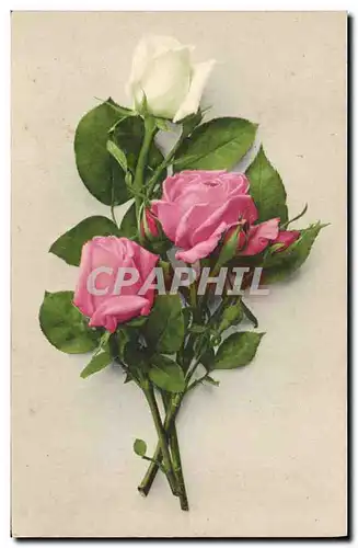 Cartes postales Fantaisie Fleurs