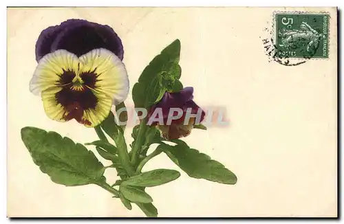 Cartes postales Fantaisie Fleurs