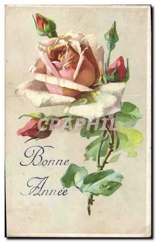 Cartes postales Fantaisie Fleurs