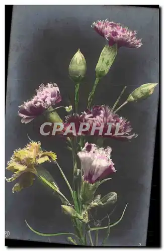 Cartes postales Fantaisie Fleurs