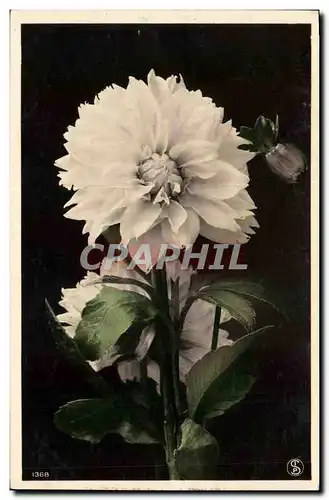 Cartes postales Fantaisie Fleurs