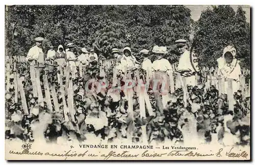 Cartes postales Folklore Vin Vignoble Vendanges Champagne Les vendangeurs TOP