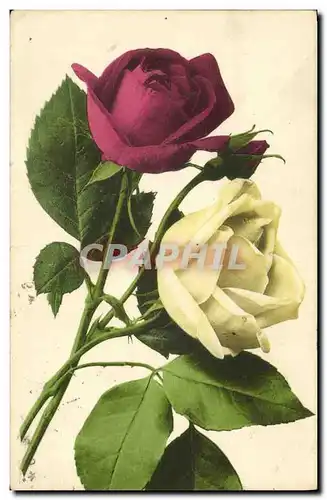 Cartes postales Fantaisie Fleurs