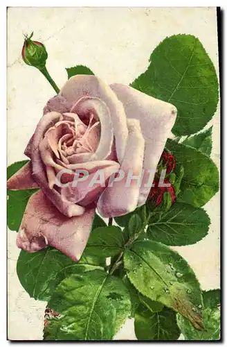 Cartes postales Fantaisie Fleurs