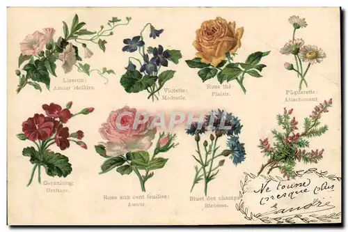 Cartes postales Fantaisie Fleurs