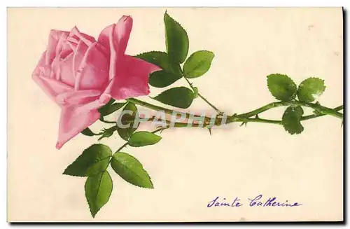 Cartes postales Fantaisie Fleurs