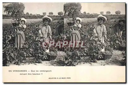 Cartes postales Vin Vendanges Que de vendangeurs doivent etre heureux