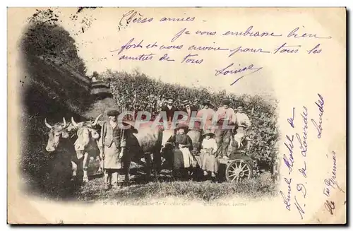 Cartes postales Vin Vendanges Pyrenees Char de Vendanges TOP