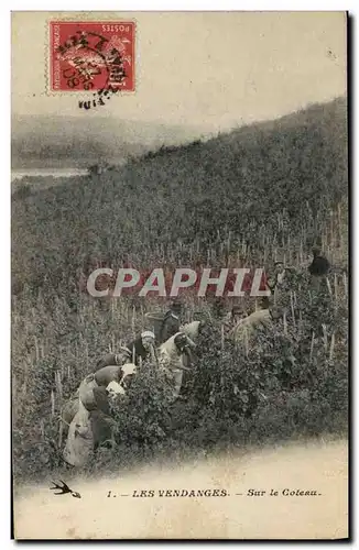 Cartes postales Vin Vendanges Sur le coteau