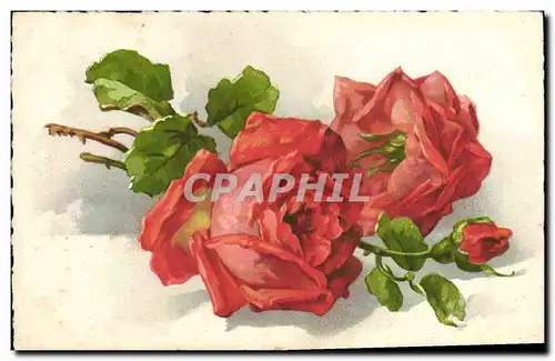 Cartes postales Fantaisie Fleurs