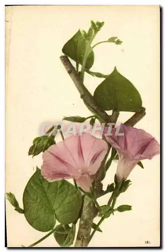 Cartes postales Fantaisie Fleurs