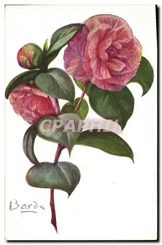 Cartes postales Fantaisie Fleurs