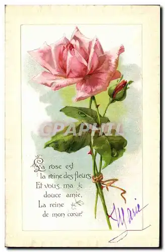 Cartes postales Fantaisie Fleurs