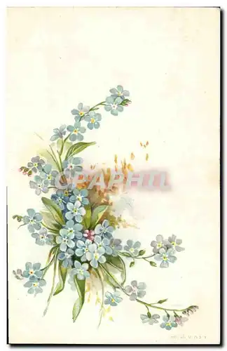 Cartes postales Fantaisie Fleurs