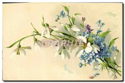 Cartes postales Fantaisie Fleurs