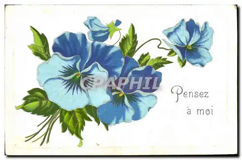 Cartes postales Fantaisie Fleurs