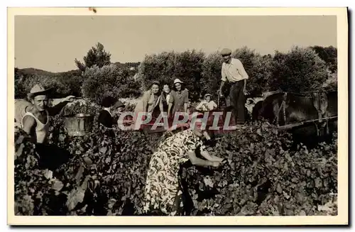 Cartes postales Vin Vendanges