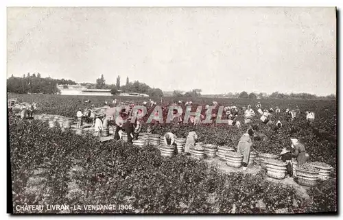 Cartes postales Vin Vendanges Chateau Livran La vendange 1906