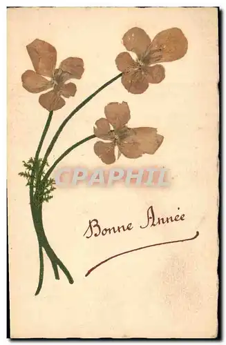 Cartes postales Fantaisie Fleurs sechees