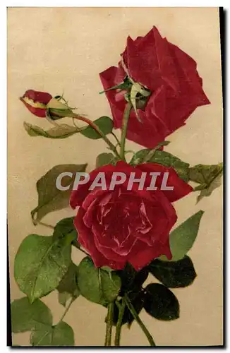 Cartes postales Fantaisie Fleurs