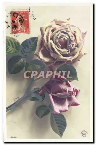 Cartes postales Fantaisie Fleurs