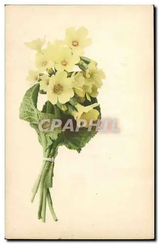 Cartes postales Fantaisie Fleurs