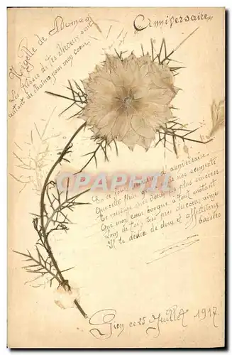 Cartes postales Fantaisie Fleurs sechees