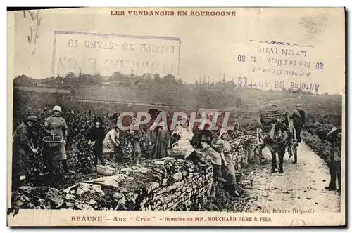 Cartes postales Vin Vendanges Beaune Aux Cras Domaine de Bouchard Pere & Fils Bourgogne