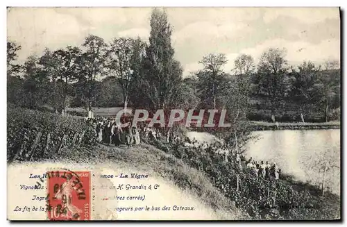 Cartes postales Vin Vendanges Vignobles Grandin