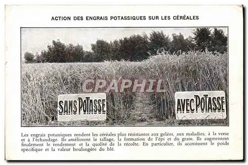 Cartes postales Publicite Action des engrais potassiques sur les cereales