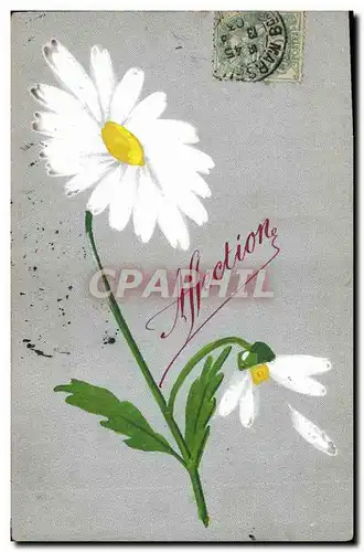 Cartes postales Fantaisie Fleurs (dessin a la main)