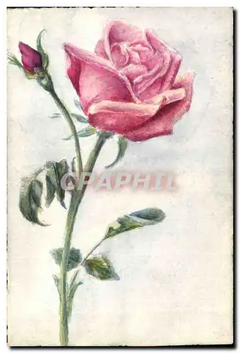 Cartes postales Fantaisie (dessin a la main) Fleurs