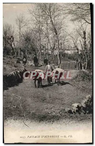 Cartes postales Folklore Paysage d'Auvergne Ane Mule