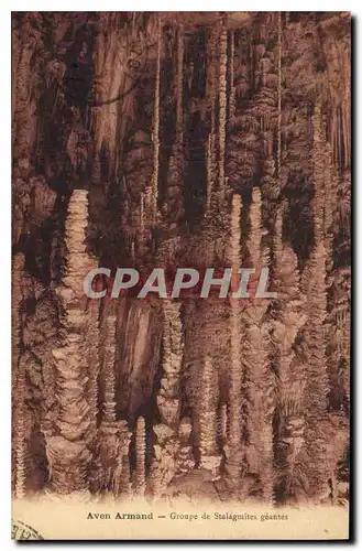 Cartes postales Grotte Grottes Aven Armand Groupe de stalagmites geantes