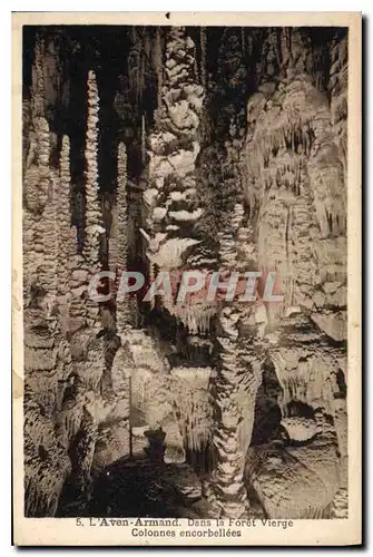 Cartes postales Grotte Grottes L'Aven Armand Dans la foret vierge Colonnes encorbellees