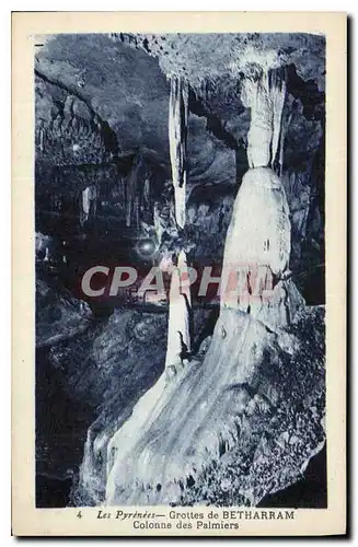 Cartes postales Grotte Grottes de Betharram Colonne des palmiers